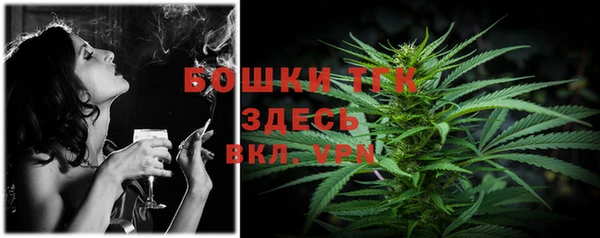 стаф Лабытнанги