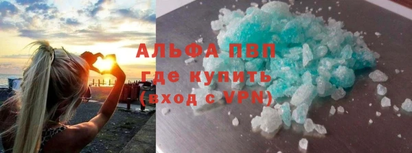 спайс Ладушкин