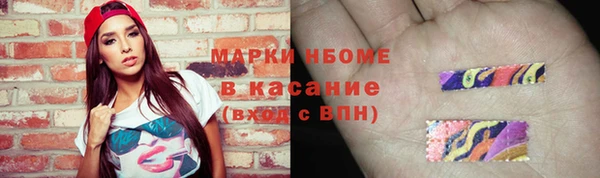 сатива Кукмор