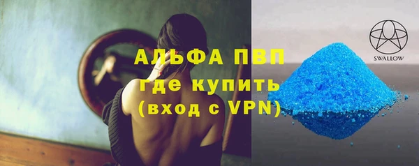 сатива Кукмор