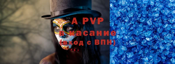 сатива Кукмор