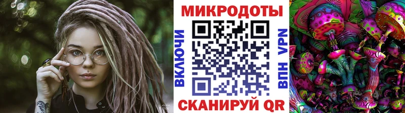 OMG ТОР  Лысково  Галлюциногенные грибы мухоморы 